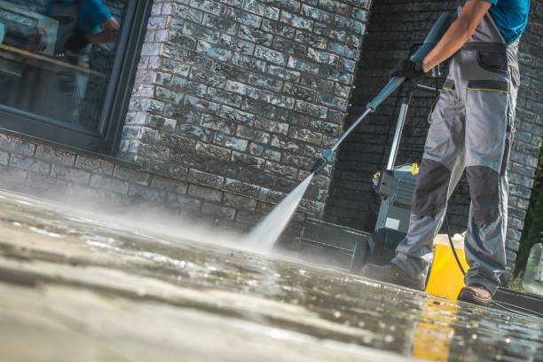 Best Pre-Holiday Cleaning  in La Paloma, TX